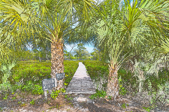 Boca Grande Florida Sketch